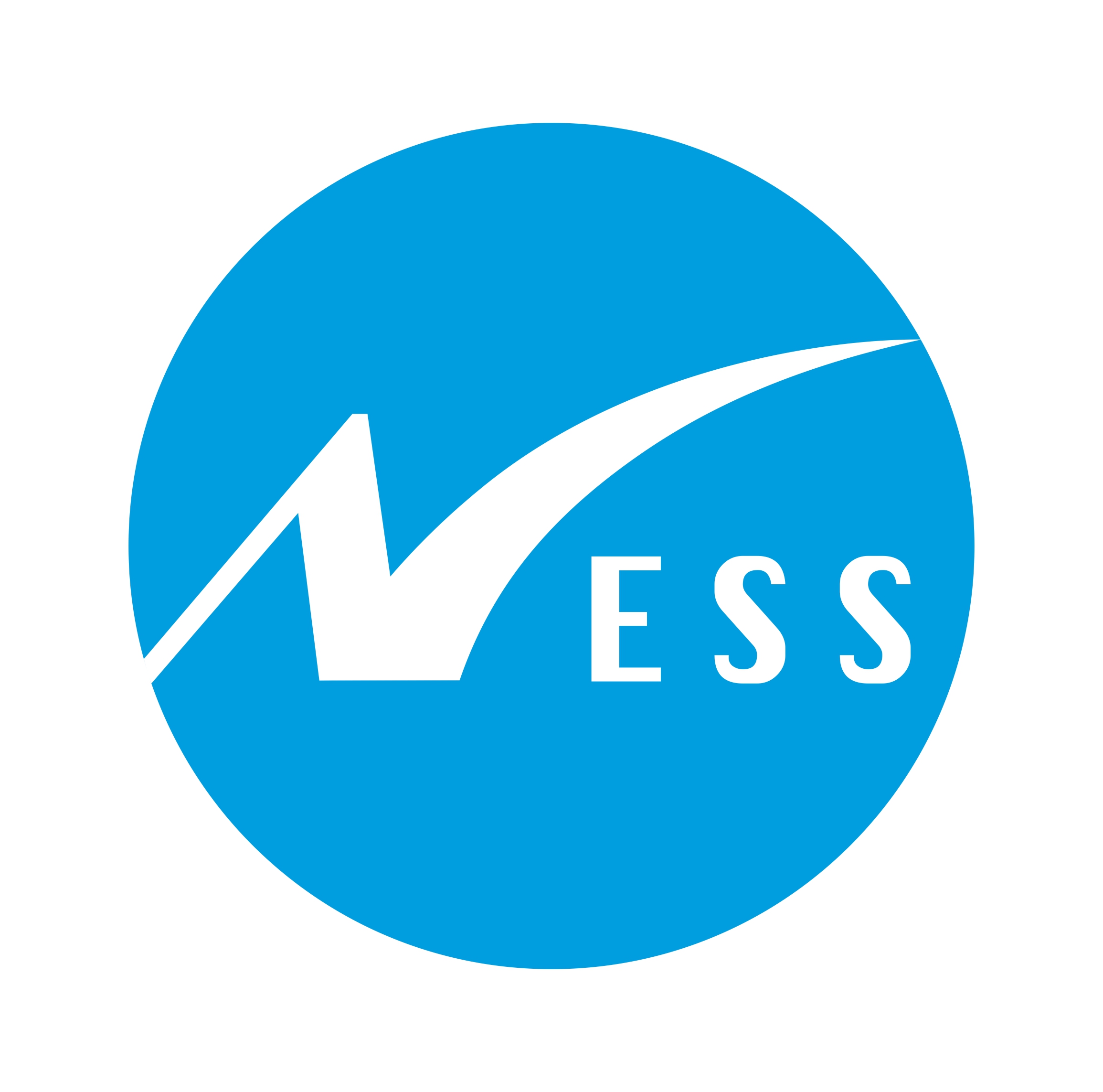 Ness Logo - New